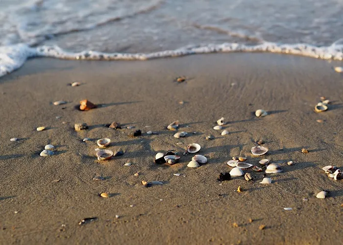 Enjoy A Flat Surrounded By Pools * Bibione